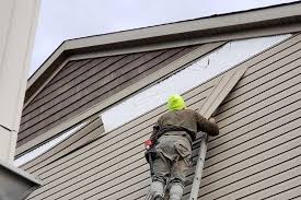 Best Custom Trim and Detailing for Siding  in Portland, TN